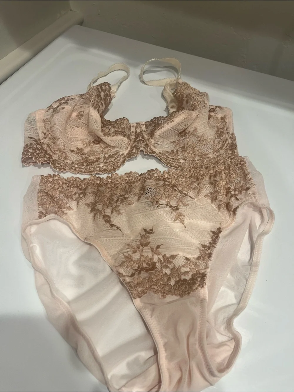 Wacoal Lace Underwire Bra and Matching Briefs in Light Blush bra 34 D panties S